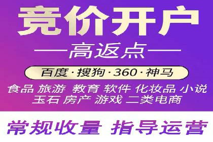 案例分析：竞价代运营如何实现精准用户定位
