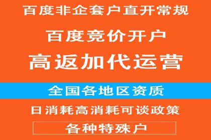 某某sem代运营公司：精准投放的背后策略